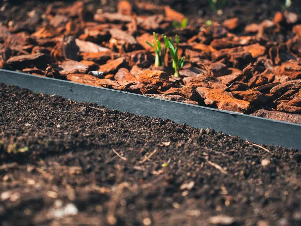 Jak správně ohraničit záhony: přehled možností, které skutečně fungují