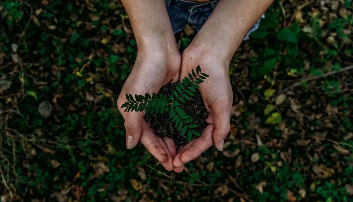Příprava palivového dřeva