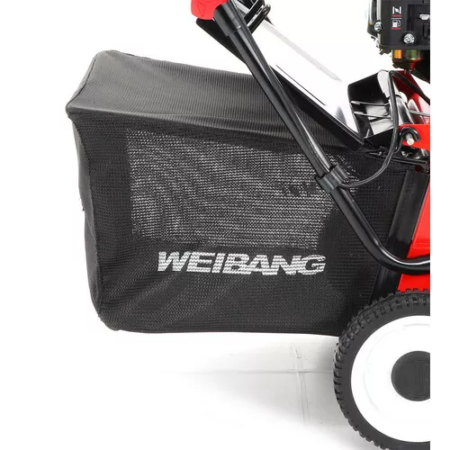 Weibang WB 384 RC