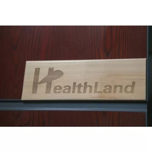 DeLuxe 2223 Carbon BT HealthLand