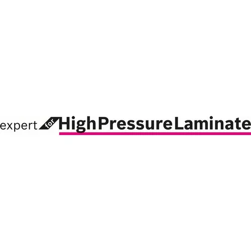 Pilový kotouč Expert for High Pressure Laminate 250 × 30-80 BOSCH 2608644358