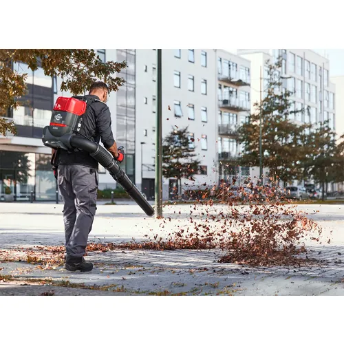 CRAMER OPTIMUS BB36