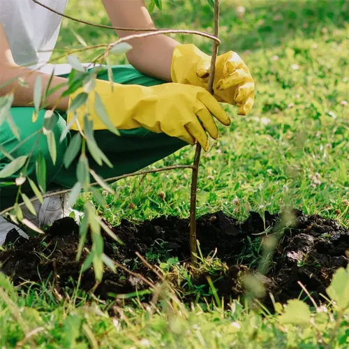 Scheppach EB 2000 půdní vrták + 2 vrtáky