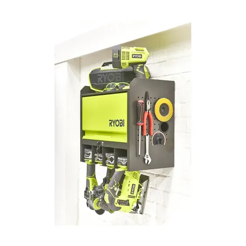 RYOBI RHWS-01 nástěnná jednodvéřová skříň do garáže