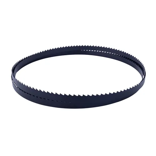 Scheppach Pilový pás na dřevo a plasty pro HBS 400 (6/0,36/2240 mm, 24z/palec)